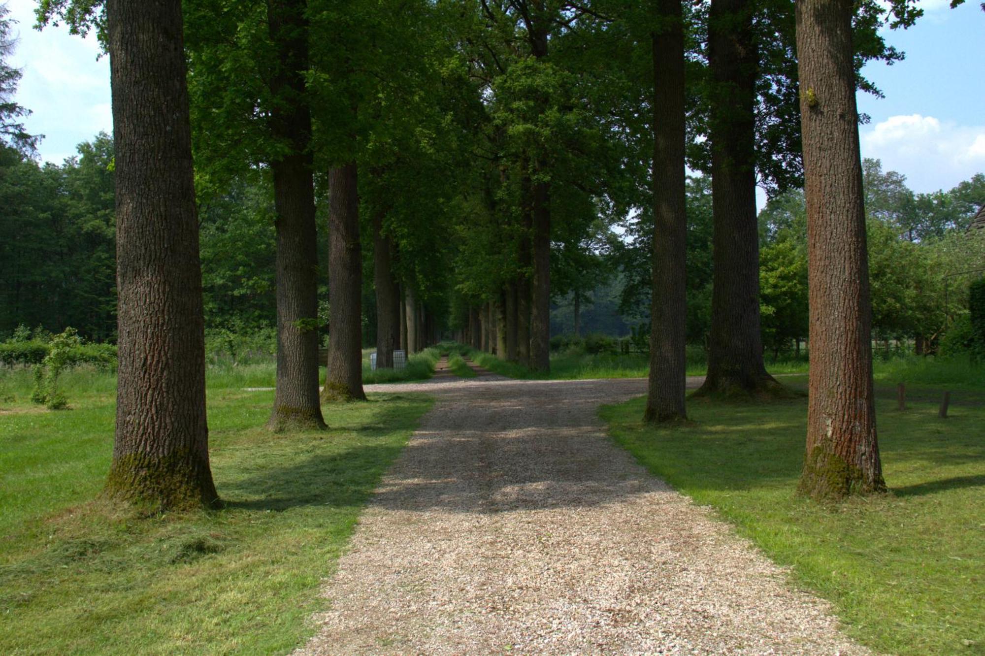 B&B Kasteel Den Tip Arendonk Экстерьер фото